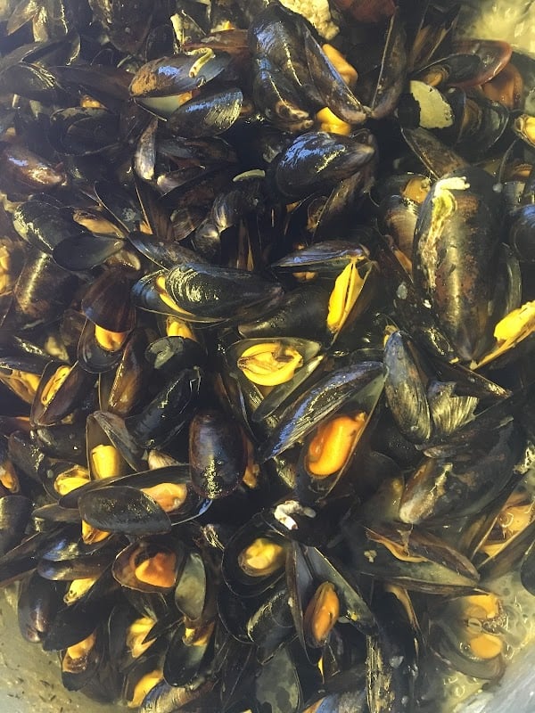 Restaurant Aux Moules à Hourtin, France