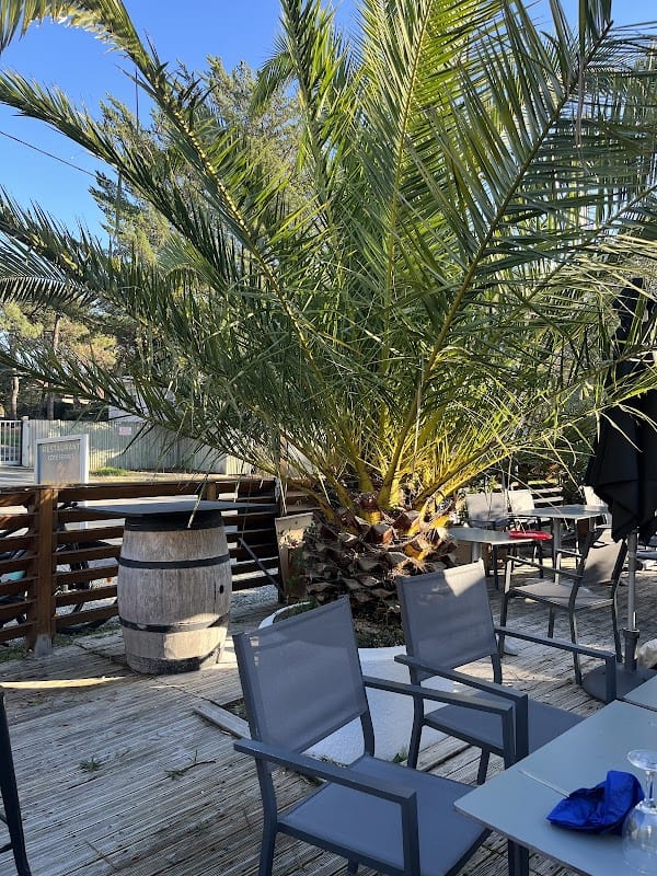 Restaurant côté Ferret à Lège-Cap-Ferret, France