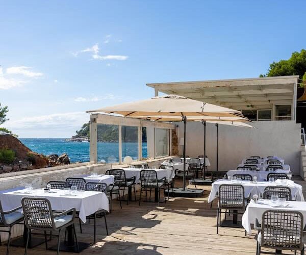 Restaurant Le Méditerranée Bandol à Bandol, France