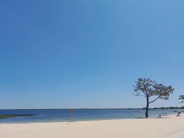 Restaurant Le Toucan à Carcans, France