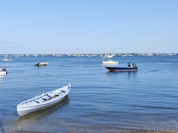 Restaurant Sail Fish Café Piraillan à Lège-Cap-Ferret, France