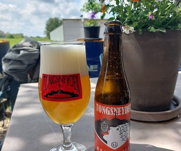 Restaurant ‘t Oud Brughuys à Berlare, Belgique