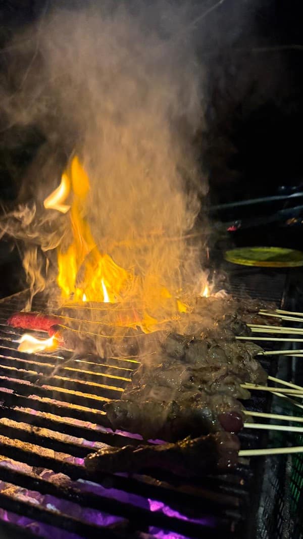 Tieagogo Bobigny (93) Barbecue, Sandwichs, Brochettes | Foodtruck Fast-food Restaurant nuit à Bobigny, France