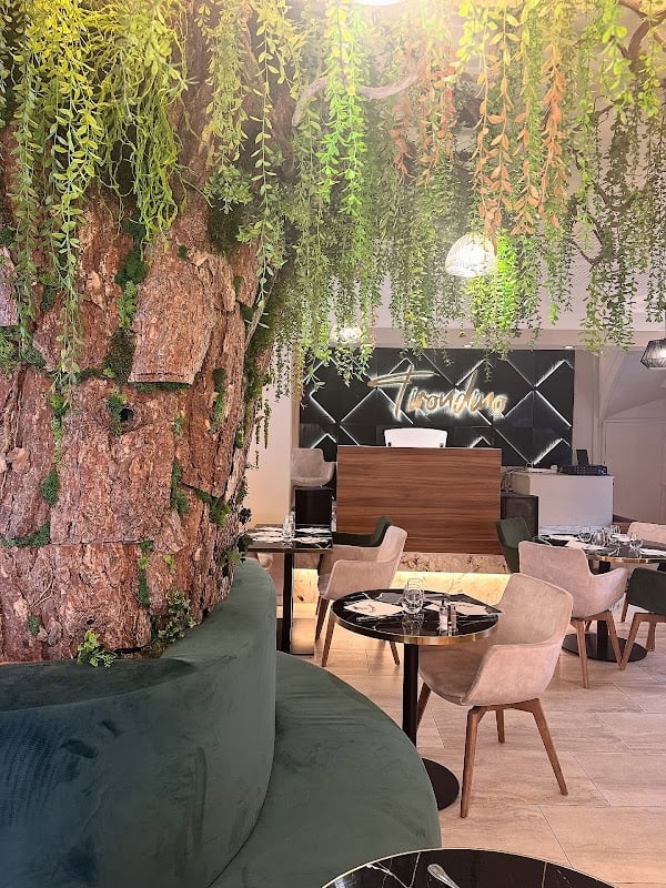 Restaurant Tirondino à Drancy, France