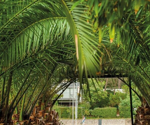 Restaurant Wharf Cap Ferret à Lège-Cap-Ferret, France