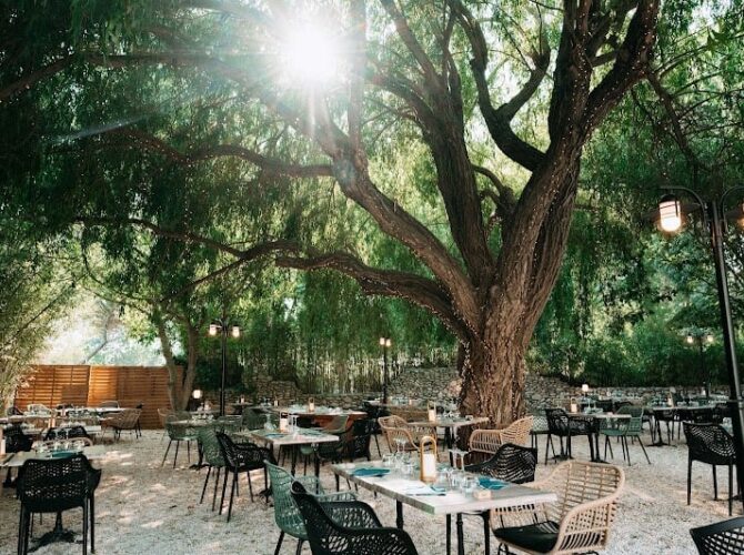 Restaurant Arbor & Sens à Argelès-sur-Mer, France