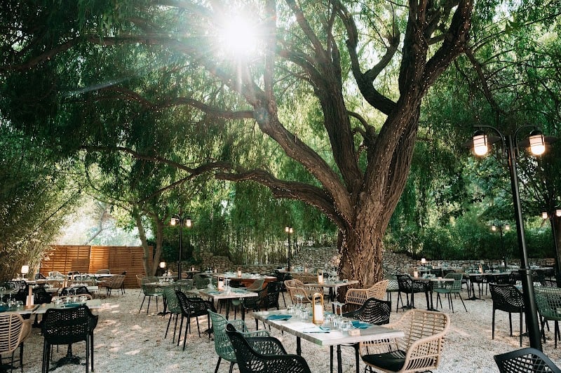 Restaurant Arbor & Sens à Argelès-sur-Mer, France