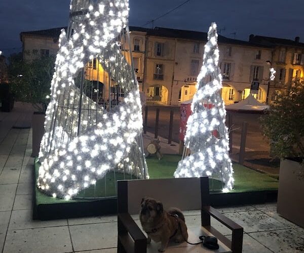 Restaurant Authentique Food Truck à Créon, France