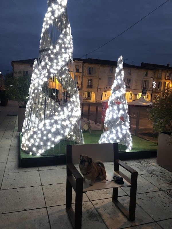 Restaurant Authentique Food Truck à Créon, France