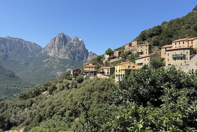 Restaurant Bar Snack Chez Félix à Ota, France