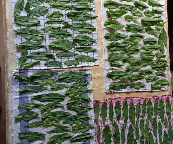 Restaurant Bistrot du marché Benfeld à Benfeld, France