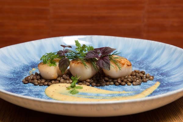 Restaurant Bleu à Amsterdam, Pays-Bas