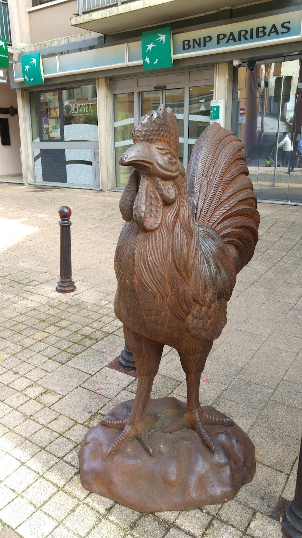 Restaurant Brasserie Le Gaulois à Albertville, France
