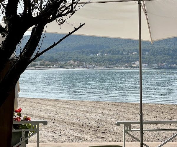 Restaurant Brasserie Papillon à Saint-Cyr-sur-Mer, France