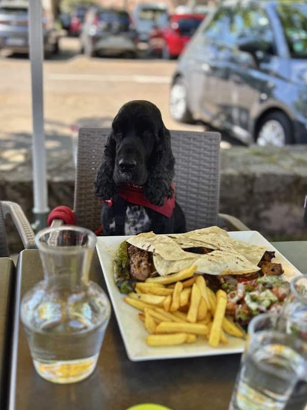 Restaurant Brewery De La Poste à Barr, France
