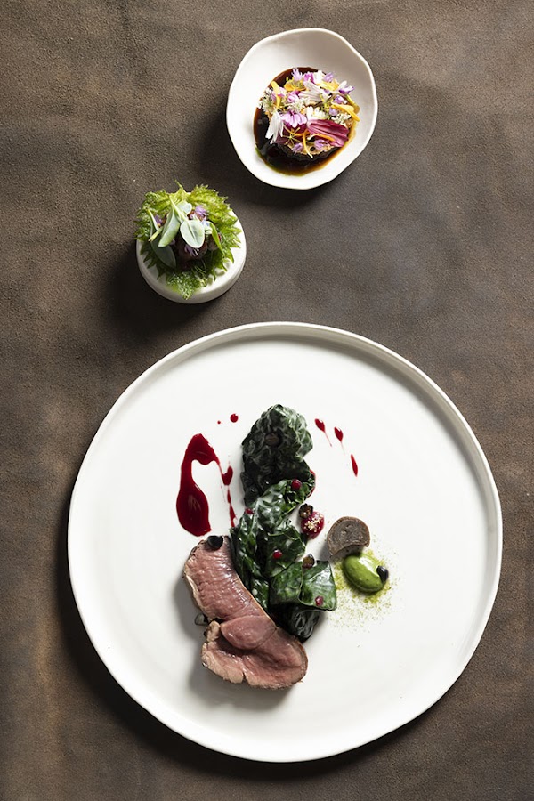 Bulle d’Osier* – restaurant gastronomique 1 Etoile Michelin à Langres, France