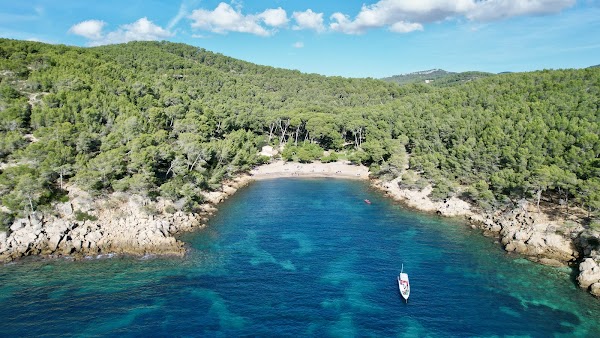 Restaurant Calanque de Port d’Alon à Saint-Cyr-sur-Mer, France