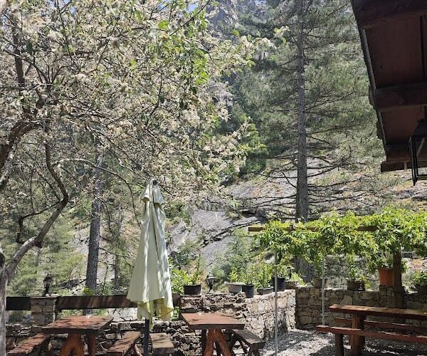 Restaurant Chez César à Corte, France