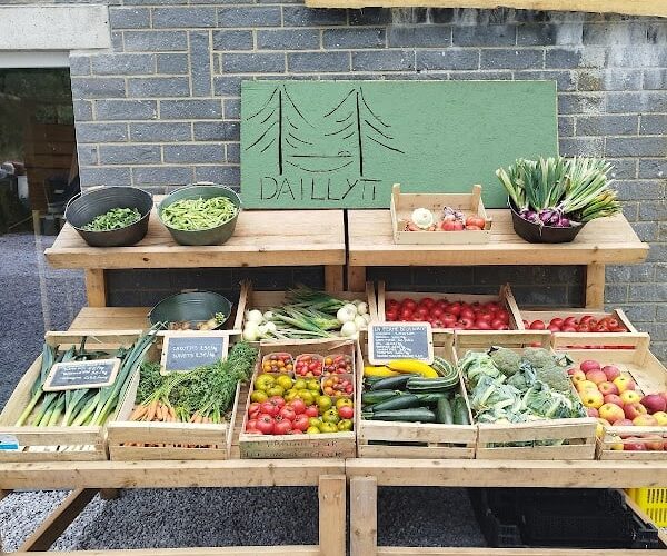 Restaurant Daillyti votre terroir à Couvin, Belgique