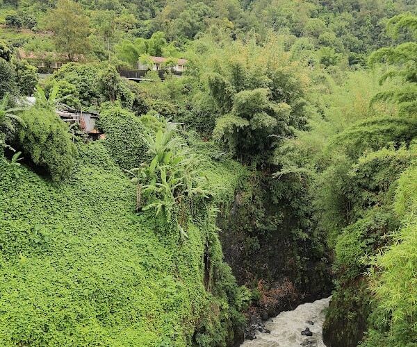 Restaurant EMILIE DELICE à Salazie (Île de la Reunion), La Réunion