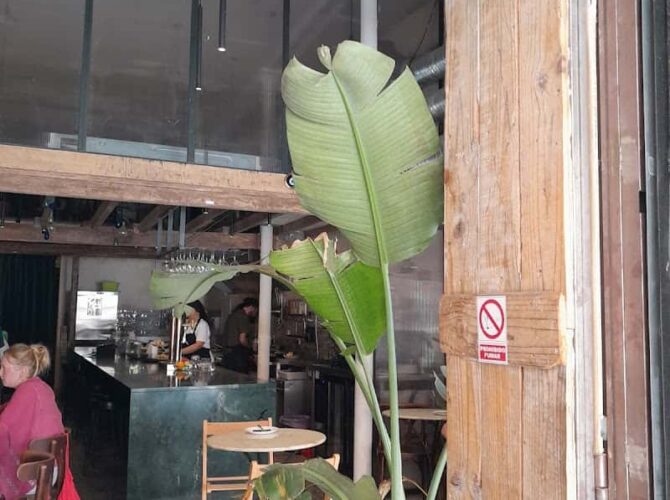 Restaurant Fatouch à Sevilla, Espagne