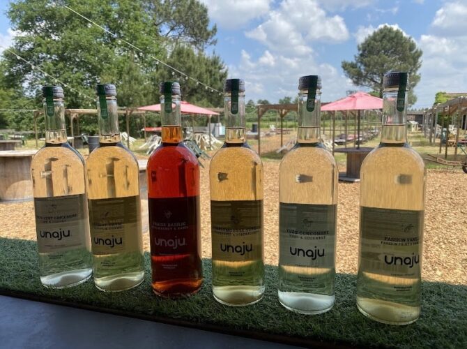 Restaurant Guinguette La Méric à La Brède, France