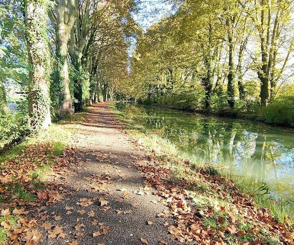 Restaurant Guinguette Les Frangins à Fourques-sur-Garonne, France