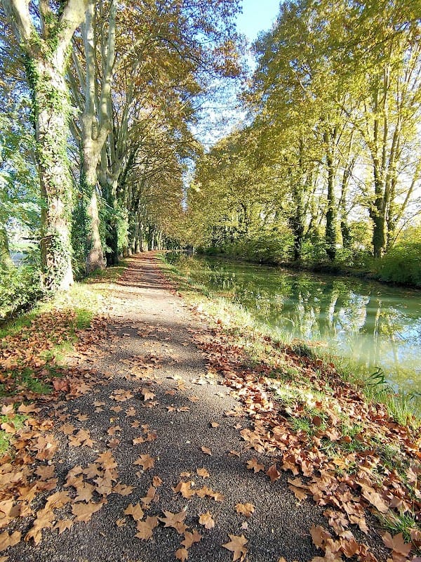 Restaurant Guinguette Les Frangins à Fourques-sur-Garonne, France