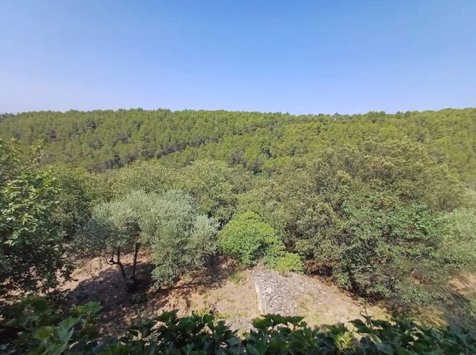 Restaurant Haut perché à Saumane-de-Vaucluse, France