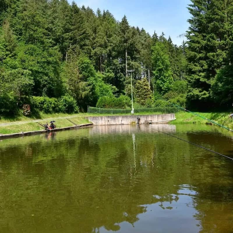 Restaurant Ierpeldenger Weier -Etangs & Brasserie à Erpeldange-sur-Sûre, Luxembourg