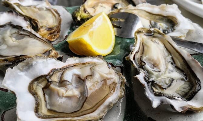 Restaurant La Boîte à Sardines à Grayan-et-l'Hôpital, France