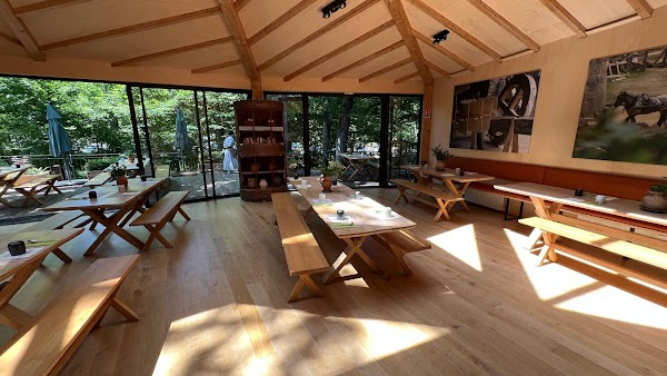 Restaurant La Canopée à Treigny-Perreuse-Sainte-Colombe, France