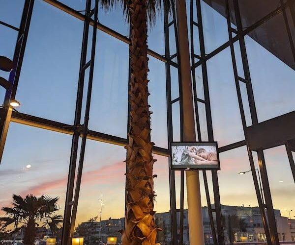 Restaurant La Cascade | Groupe Tranchant à Dunkerque, France