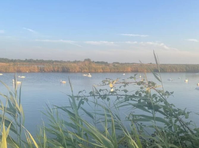 Restaurant La GAM’GUETTE à Le Verdon-sur-Mer, France