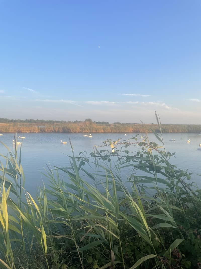 Restaurant La GAM’GUETTE à Le Verdon-sur-Mer, France