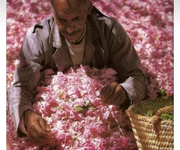 Restaurant La Palmeraie de Marrakech à Montbéliard, France