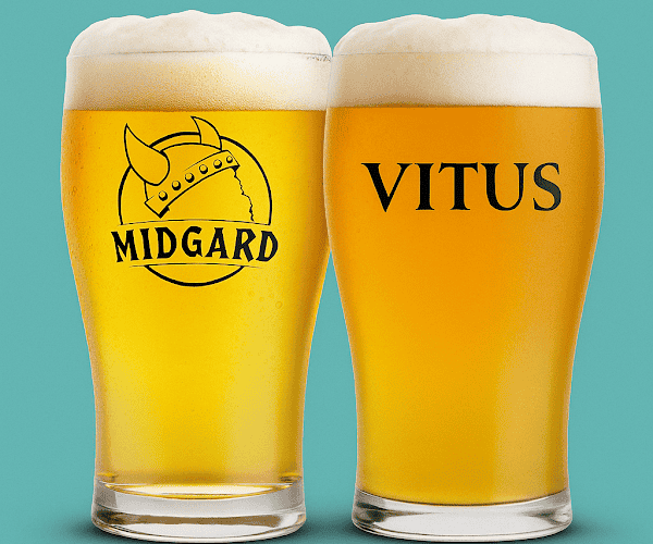 Restaurant La taverne de Midgard Albertville à Albertville, France