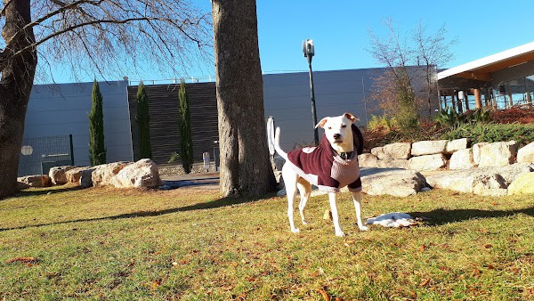 Restaurant La Terrasse à Bouc-Bel-Air, France