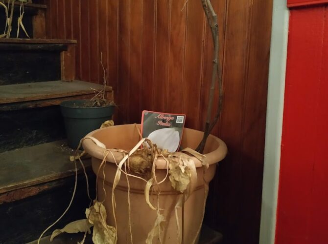 Restaurant La Terrasse à La Verpillière, France