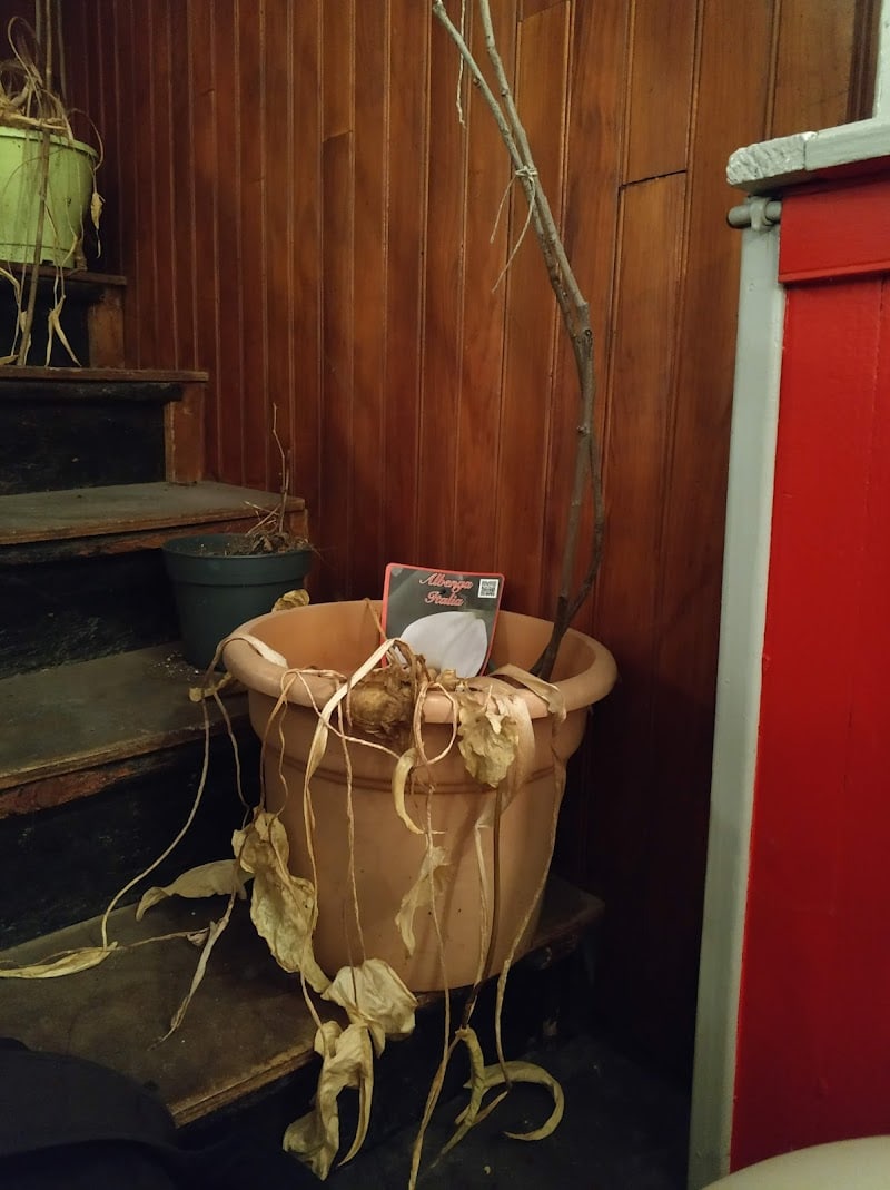 Restaurant La Terrasse à La Verpillière, France