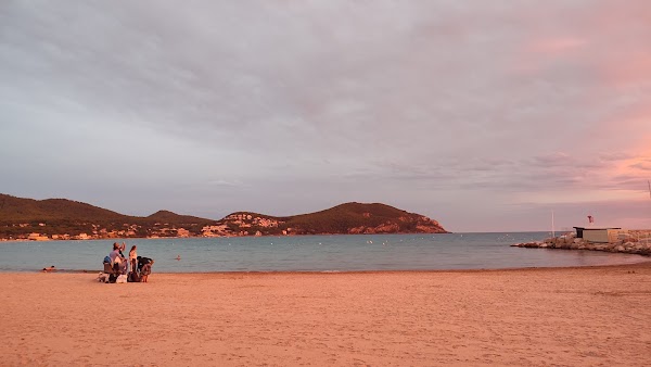 Restaurant L’Albatros à Saint-Cyr-sur-Mer, France