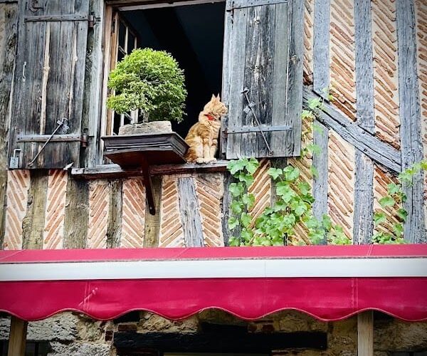 Restaurant Le Divin à Bergerac, France