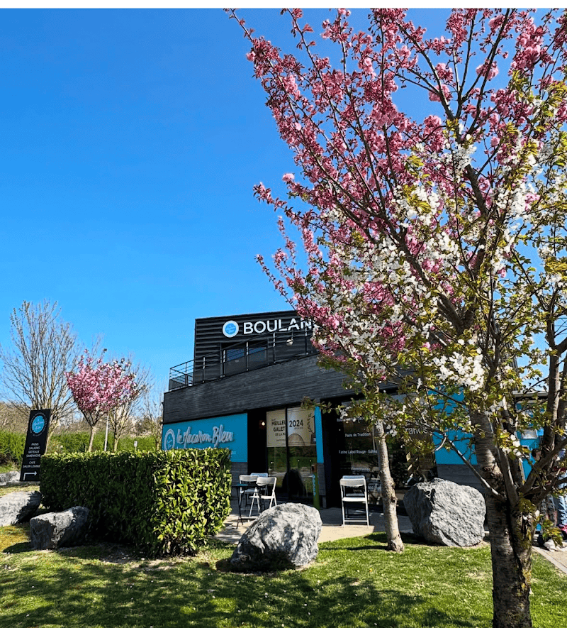 Restaurant Le Macaron Blue à Bezannes, France