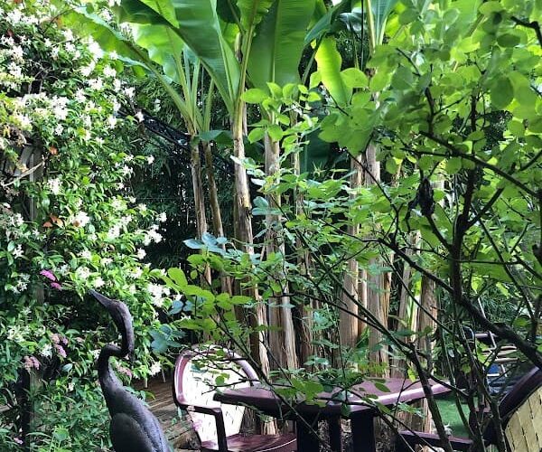 Restaurant Le Nuage à Brive-la-Gaillarde, France