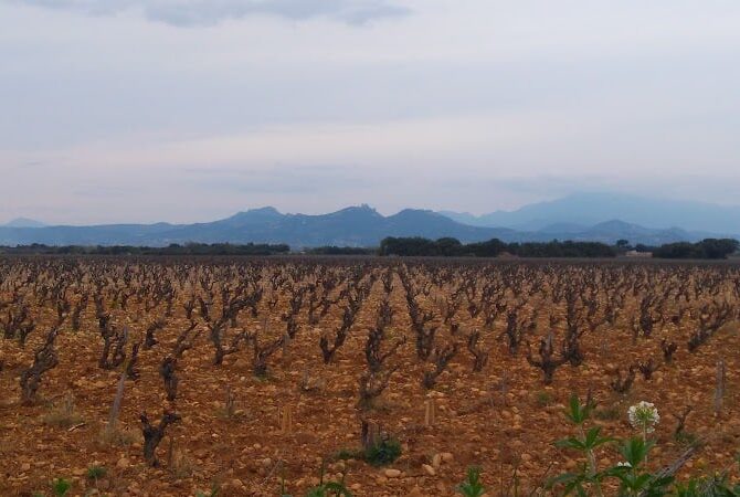 Restaurant Le Relais Du Soleil à Courthézon, France
