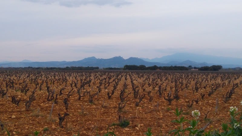 Restaurant Le Relais Du Soleil à Courthézon, France
