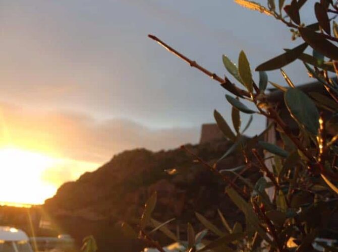 Restaurant Le Robinson à Ota, France