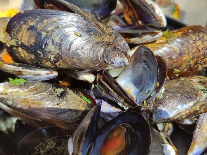 Restaurant Le Sud à Sète, France