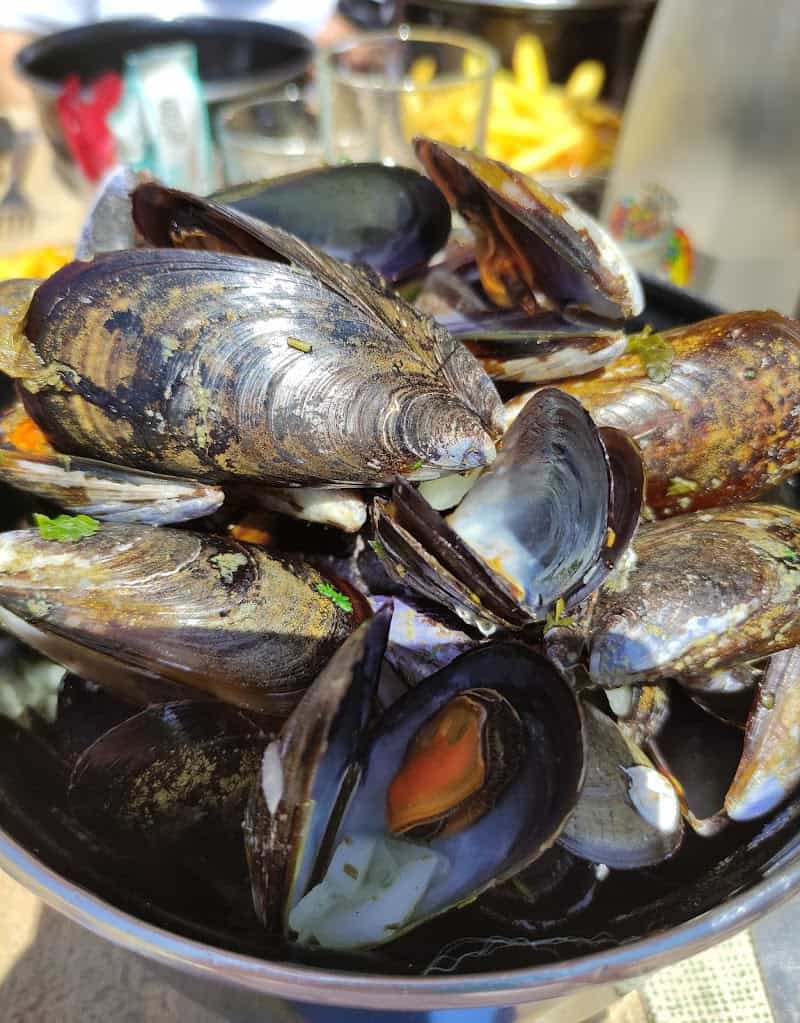 Restaurant Le Sud à Sète, France