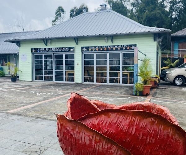 Les délices du domaine restaurant à La Plaine-des-Palmistes, La Réunion